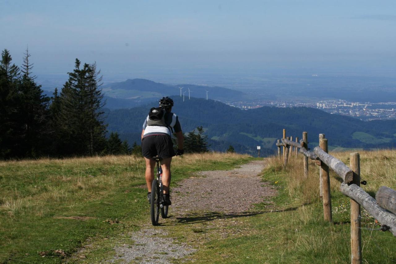 Berghaus Freiburg - Appartement Hotel Auf Dem Schauinsland Oberried  Esterno foto