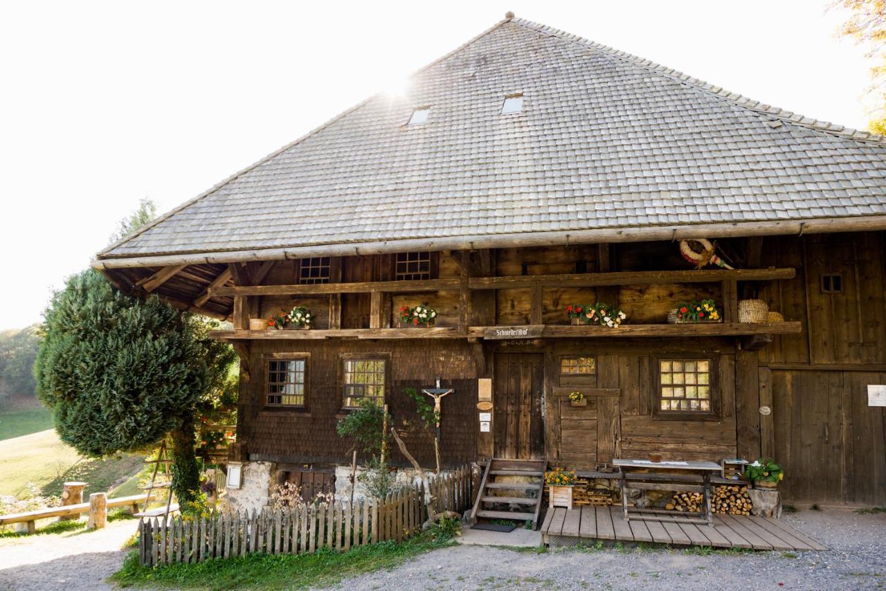 Berghaus Freiburg - Appartement Hotel Auf Dem Schauinsland Oberried  Esterno foto