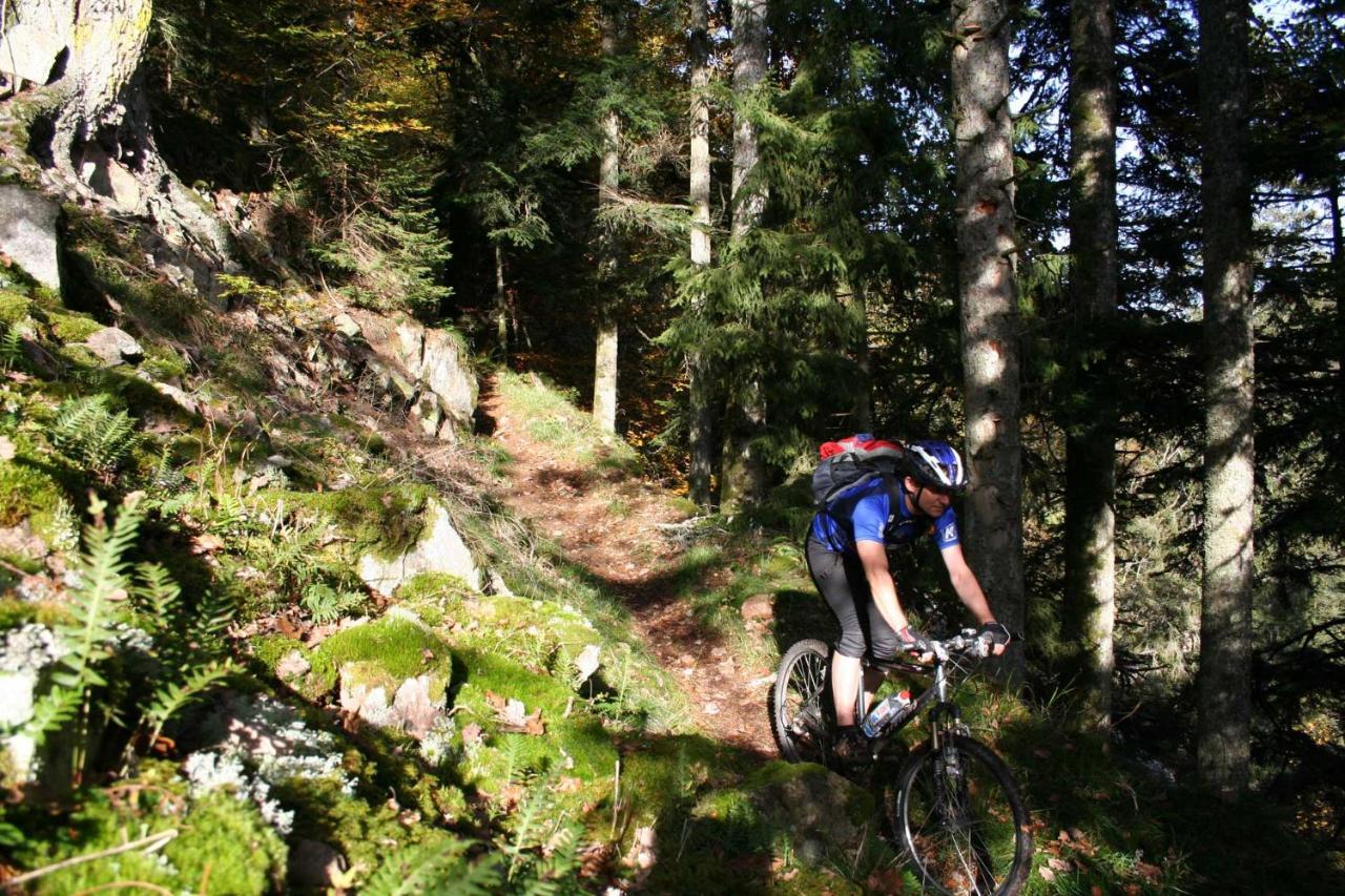 Berghaus Freiburg - Appartement Hotel Auf Dem Schauinsland Oberried  Esterno foto